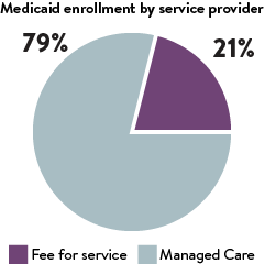 service-provider-pie-chart